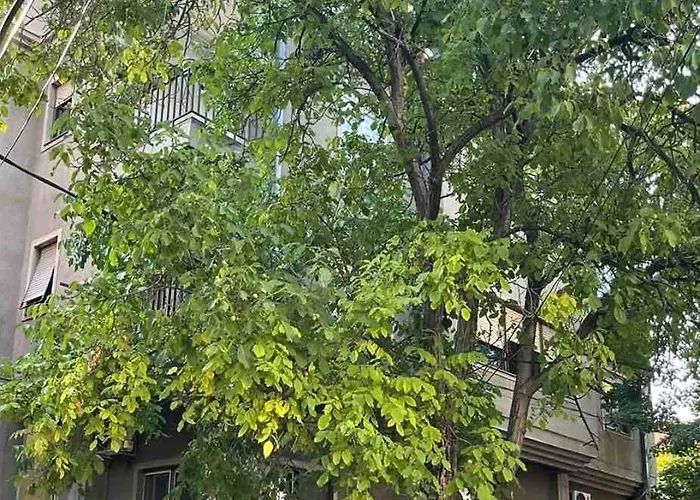 Apartment Urban Skopje